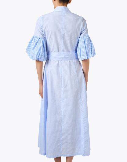 blue-and-white-striped-shirt-dress_back.jpeg