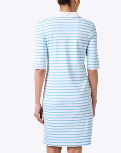 blue-striped-polo-dress_back.jpeg