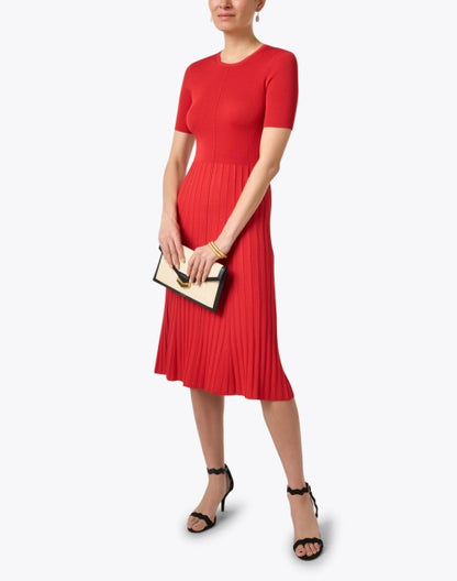 red-satin-knit-dress_look.jpeg