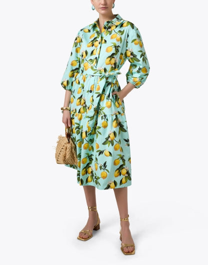 cassie-lemon-print-dress_look.jpeg