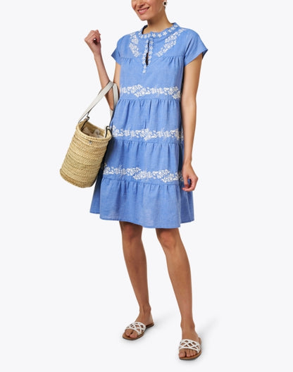 isabel-blue-chambray-embroidered-dress_look.jpeg