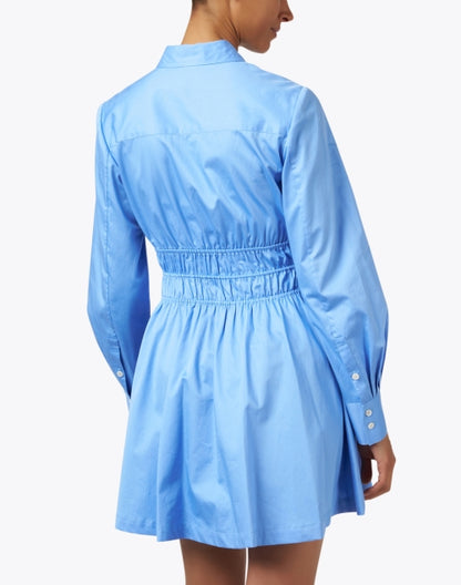 blue-cotton-shirt-dress_back.jpeg