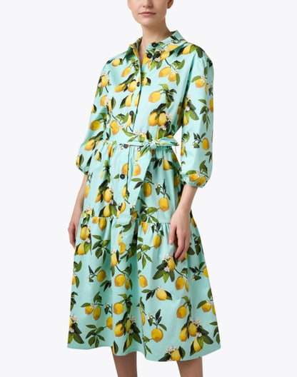 cassie-lemon-print-dress_front.jpeg